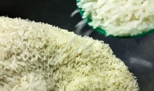 Produtores de SC e RS pedem fim da isenção para o arroz importado e garantem abastecimento, apesar das enchentes