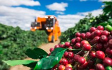 Relatório climático aponta possíveis consequências do La Niña sobre o mercado internacional de café
