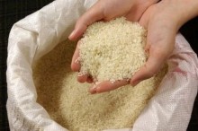 Apesar de alerta dos produtores, Conab é autorizada a comprar arroz importado