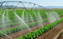 Proposta promove uso sustentável de equipamentos de irrigação na agricultura