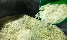 Leilão para importação do arroz será na próxima quinta-feira