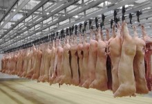 Carne suína tem forte queda no final de maio