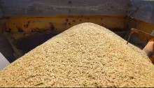 CNA vai ao Supremo contra importação de arroz pela Conab
