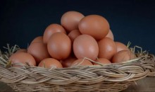 Ovos vermelhos tem valorização acima da média