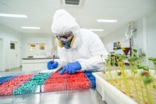 Empresa global do setor de inovação investe no desenvolvimento do agro no Brasil