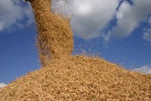 Justiça intima governo federal a explicar leilão para importação de arroz
