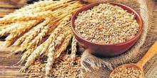 Cotação do trigo atinge maior patamar em um ano
