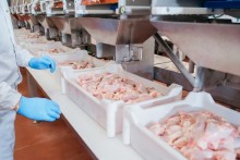 Cooperativa Languiru faz 1ª exportação de frango para a China