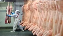 Embarques de carne suína crescem 2,7% em maio