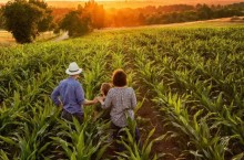 Aprovada proposta que destina valor de multas ambientais para agricultura familiar
