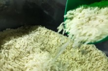 Venda de arroz a 4 reais é impossível para produtores brasileiros, diz entidade