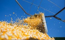 Iniciada nova pesquisa para atualização da safra brasileira de grãos