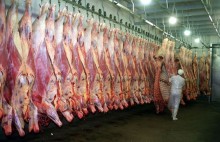 Carnes lideram embarques de alimentos industrializados em 2024