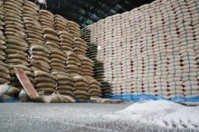 Análise de estoques aponta excedente de arroz no país