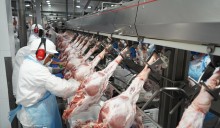 Empresa gaúcha realiza 1º embarque de carne suína para as Filipinas