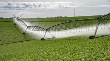 Programa de Irrigação, que vai ajudar na mitigação da estiagem, está com edital aberto para receber projetos