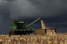 Chuvas persistem em março e impactam lavouras no país