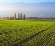 Frente fria derruba temperaturas no Sul e chuvas intensas seguem no Norte