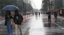 Onda de frio avança pelo Brasil e deve impactar lavouras e rebanhos em várias regiões