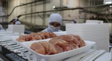Exportações de frango são suspensas para 24 destinos após caso de gripe aviária no RS