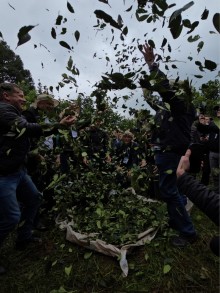 Festa da Colheita da Erva-Mate em Viadutos tem entrega de Indicação Geográfica