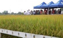 Heinze cobra governo por solução urgente para dívidas dos agricultores gaúchos