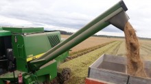 Colheita do arroz no estado ultrapassa 99% da área plantada