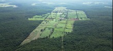 México põe à venda uma das maiores fazendas leiteiras tropicais do mundo