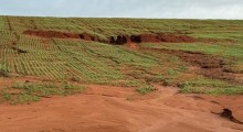 Chuvas atrasam plantio de inverno e impactam culturas e criações no RS