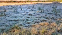 Frio e geada retornam ao Rio Grande do Sul nos próximos dias