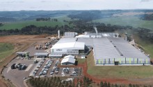 Tarifa dos EUA trava exportações e leva setor madeireiro a demissões no Sul do Brasil