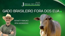 Fora da rota comercial norte-americana, carne brasileira encontra novos mercados, veja o vídeo