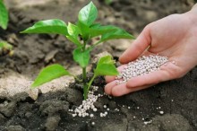 Senador faz importante alerta: dependência de fertilizantes estrangeiros pode parar o Brasil, veja o vídeo