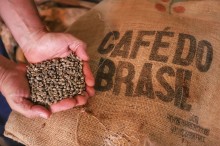 Falta de infraestrutura e gargalos logísticos no Brasil causam prejuízos bilionários aos exportadores de café (veja o vídeo)