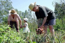 Publicada MP com crédito extraordinário para a agricultura familiar