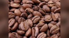 Preço do café cai no Brasil e deve fechar a semana em baixa, aponta Safras