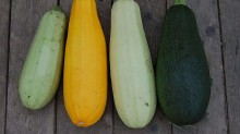 Prévia da inflação: alimentos sobem 0,88%, e um legume encarece 38% em outubro