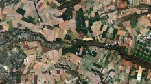 Plantio de soja passa de 75% em Mato Grosso; no Sul, um estado segue abaixo da média