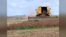 Adido do USDA vê 3ª safra recorde de soja no Brasil, mas aponta onde está a preocupação