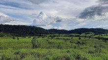IBGE abre cadastro do Censo Agro 2027; produtor pode se inscrever até agosto de 2027