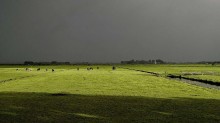 Novembro pode ter chuva 150 mm acima da média no RS, e Inmet vê risco à soja no Nordeste