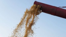 Esmagamento de soja em MT bate recorde de 10,42 milhões de toneladas até setembro