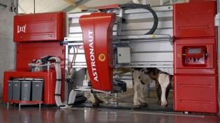 Vantagens da ordenha robotizada e tecnificação das propriedades leiteiras são destaque da Lely na Expodireto