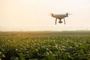 A importância dos drones no agro