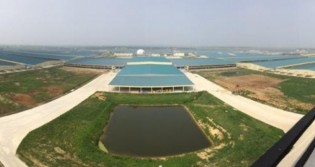 Mudanjiang City Mega Farm