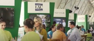 (CRÉDITO: REPRODUÇÃO/VÍDEO)