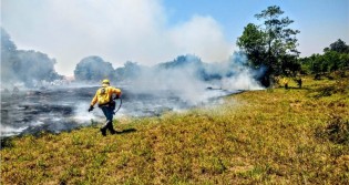 (CRÉDITO: INSTITUTO BRASÍLIA AMBIENTAL / ARQUIVO)