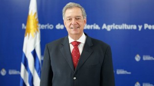 (CRÉDITO: REPRODUÇÃO / INTERNET)