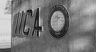 (CRÉDITO: DIVULGAÇÃO / IICA)
