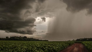 (CRÉDITO: FERNANDO DIAS / SECRETARIA DE AGRICULTURA-RS)